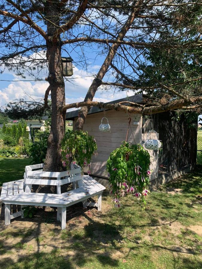 Siedlisko Przyjazne Progi Villa Rusocice Екстериор снимка